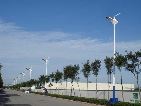 Solar street lights and solar pole lights available from Eco Industrial Supplies