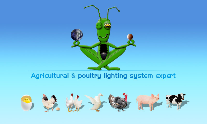 Eco Industrial Supplies is a Agricultural and poultry lighting expert